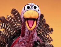 Turkey Sesame Street