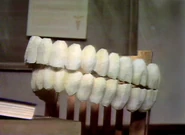 0497 Teeth.jpg (100 KB)
