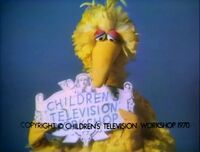 Big Bird Episodes 0143, 0145