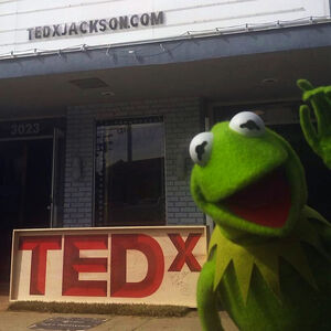 Kermit TED Nov 6 2014