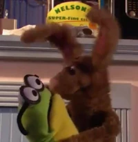 Jack Rabbit & Goggles"Kermit's Swamp Years"