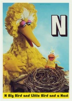31: Big Bird and Little Bird and a Nest