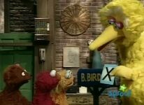 Big Bird receives a letter X (First: Episode 3862)