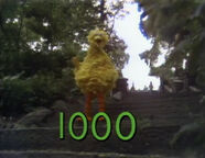 1000-00.jpg