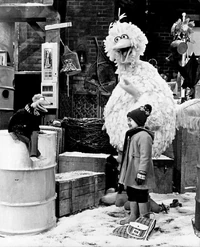 CEOSSKermitShot.jpg (689 KB)