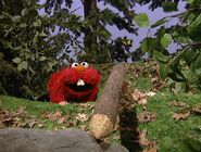 Beaver Elmo's World: Teeth