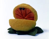 TMS-GrapefruitPhoto.jpg (363 KB) Grapefruit The Muppet Show