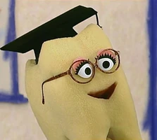 Wisdom Tooth in Elmo's World: Teeth