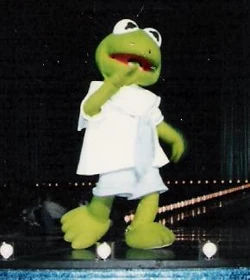 Baby kermit full body