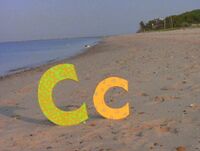 C (First: Episode 3443)