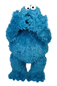 CookieReplica3.jpg (408 KB)