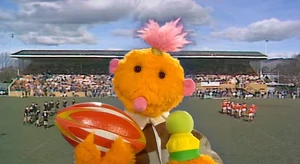 Roma at a rugby match