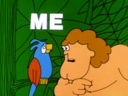 Me Tarzan ... you parrot!