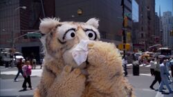 SoundsOfStreet02.jpg