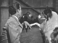 "There she is, Miss America"