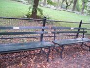 Central Park Benches dedicated to Jim Henson and Jon Stone.