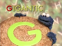 The Letter of the Day: G - Giant Cookie (First: Episode 4011)