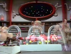 Pigsinspace314.jpg