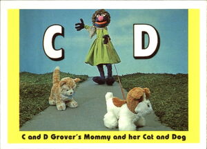 1992 sesame trading cards 24.jpg