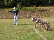 (First: Episode 4008)