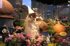 Ozflowershow20.jpg (148 KB)