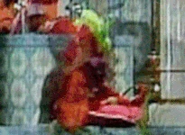 An Arabian Whatnot smokes a hookah in The Muppet Show episode 413.