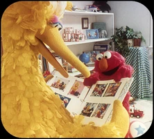 A7 "Let's look at photos of us when we were babies."