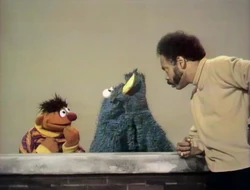 CM Ernie music banana