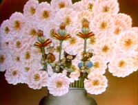 Flowers - Dwarfs (First: Episode 0634)