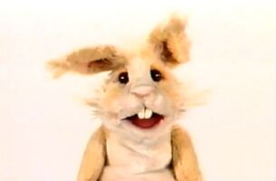 Bunny in Peek-A-Boo: A Big Surprise for Little People