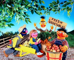 SSPuzzle-Harvest-photo