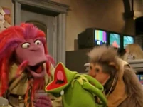 Kermit suffers a similar fate in the same episode, and again years later at MuppetFest.