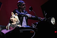 Harleypiggy.jpg (33 KB)