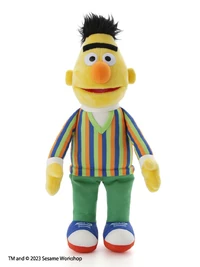 Bert, medium