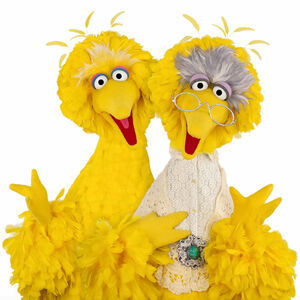 BigBird-and-GrannyBird