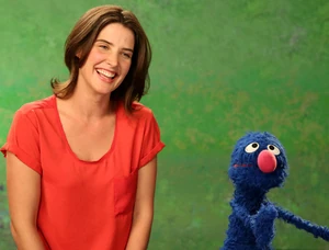 Courteous - Cobie Smulders