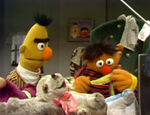 Ernie and Bert: Life Without Bert