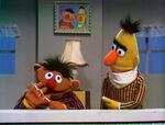Ernie and Bert: String Tied