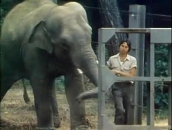 Film-Zookeeper