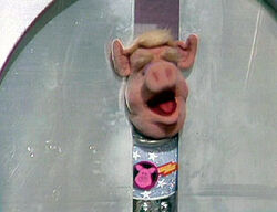 Pigsinspace209.jpg