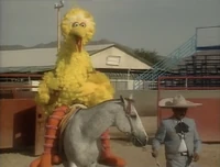 Riding a horse Episode 3049