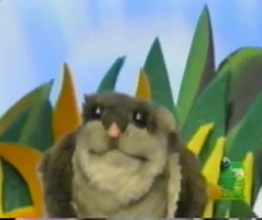 Quincy the Flying Squirrel The Animal Show