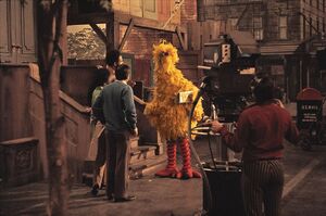 Bigbird early