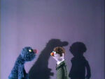 Grover's Shadow