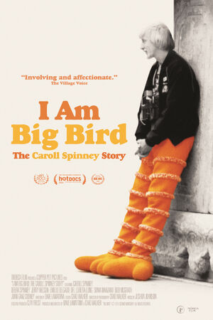 I Am Big Bird poster