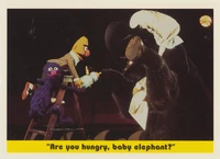 55: "Are you hungry, baby elephant?"