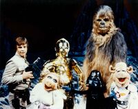 Peter Mayhew Age 79