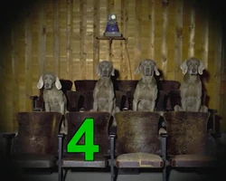 Wegman's Dogs: Four at a thea-tor (First: Episode 4010)