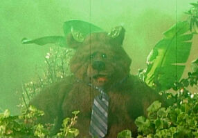 Movie Mania: Bobo the Bear