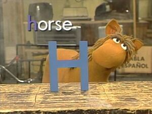 Busterthehorse